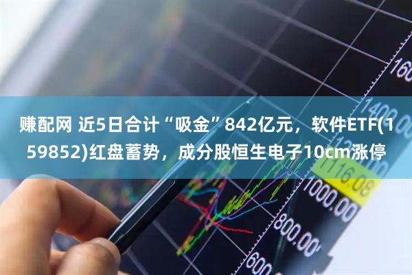 赚配网 近5日合计“吸金”842亿元,软件ETF(159852)红盘蓄势,成分股恒生电子10cm涨停